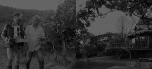 Margaret River Wine Making Experts - Howling Wolves Wines