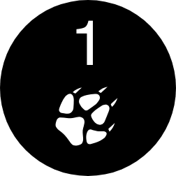 PAW-1