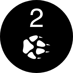 PAW-2