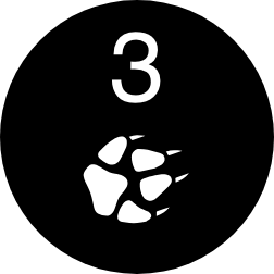 PAW-3