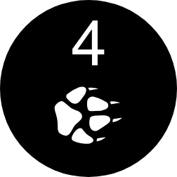 PAW-4