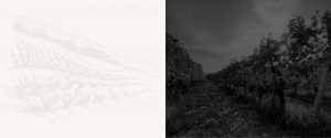 Margaret River - Wine Region