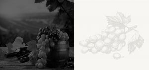 Howling Wolves Wines - Premium grapes