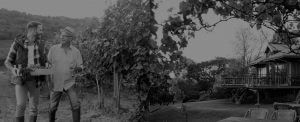 Wine Making Experts - Howling Wolves Wines