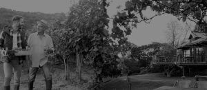 Margaret River Wine Making Experts